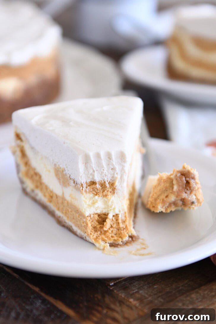 Golden Pumpkin Swirl Cheesecake 2 A perfectly sliced piece of Pumpkin Swirl Cheesecake, showing distinct layers of plain and pumpkin-spiced cheesecake, topped with a generous swirl of white chocolate mousse, served on a white plate with a bite removed.