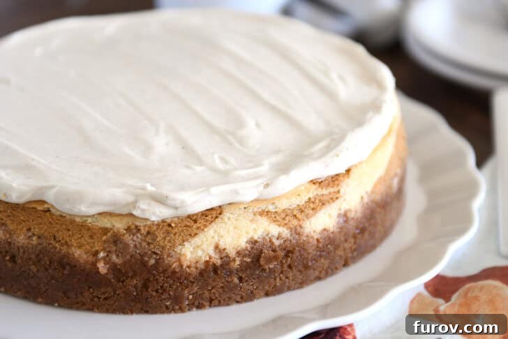 Golden Pumpkin Swirl Cheesecake 11 A baked pumpkin swirl cheesecake with a flawless white chocolate mousse layer on top, presented beautifully on a white serving platter, ready to be enjoyed.