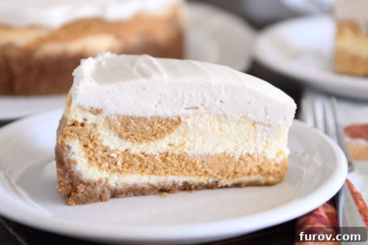 Golden Pumpkin Swirl Cheesecake 12 A perfectly cut slice of pumpkin swirl cheesecake, showcasing its beautiful layers and creamy texture, presented on a pristine white plate.