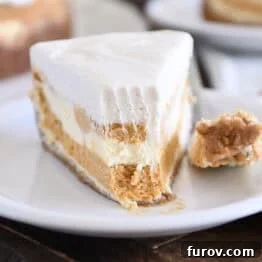 Slice of pumpkin swirl cheesecake with bite removed on white plate.