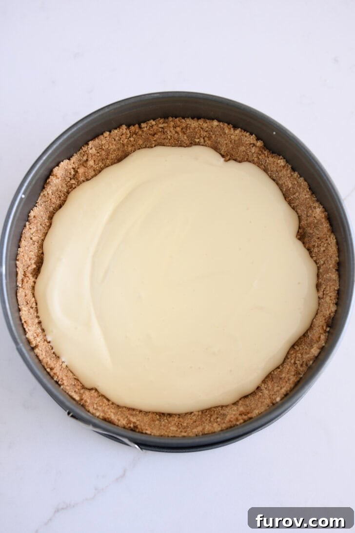 Golden Pumpkin Swirl Cheesecake 7 Top-down view of a 9-inch springform pan containing a perfectly pressed graham cracker crust and the initial layer of plain cheesecake batter, ready for the next step.