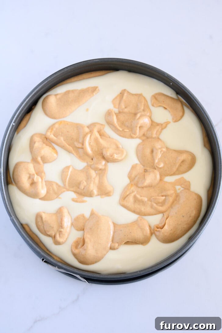 Golden Pumpkin Swirl Cheesecake 9 Top-down view of a 9-inch springform pan where dollops of the remaining pumpkin cheesecake batter are strategically placed on top of the final plain cheesecake layer, prepared for swirling.