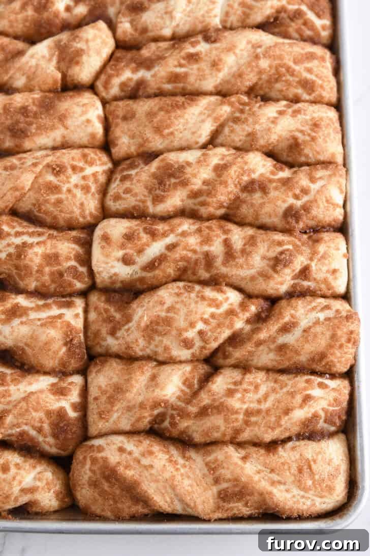 A close-up shot of baked cinnamon sugar twists on a half sheet pan, showing their golden color and puffy texture after baking.