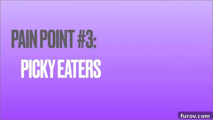 Purple background with pain point #3: picky eaters. This section offers guidance on managing challenging eaters.
