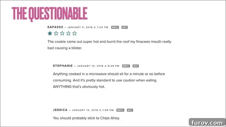 White background with the title: The Questionable and a comment thread with reviewers complaining about a microwave mug cookie, showcasing humorous or odd feedback.
