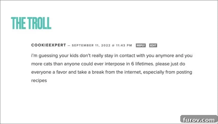 White background with the title: The Troll and a mean comment left anonymously, illustrating negative online interactions.