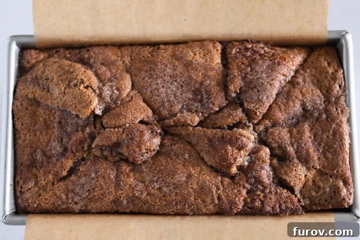 Warm Cinnamon Swirl Loaf 11 Loaf pan with beautifully baked cinnamon swirl quick bread, golden brown and perfectly topped.