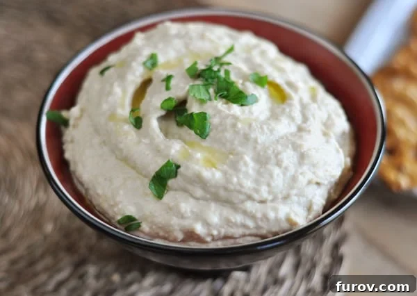 A beautifully presented bowl of classic hummus, garnished with a drizzle of olive oil and fresh cilantro pieces, ready to be served.