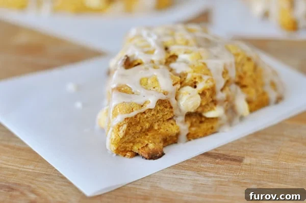 Spiced Pumpkin Scones with Bright Ginger Drizzle 2 A glazed pumpkin scone on a piece of parchment paper, highlighting its tender texture and delicious glaze.