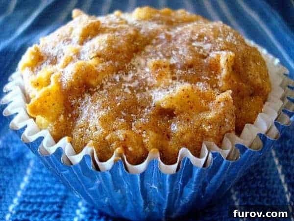 A single pumpkin apple spice muffin in a shiny blue paper liner, ready to be enjoyed.