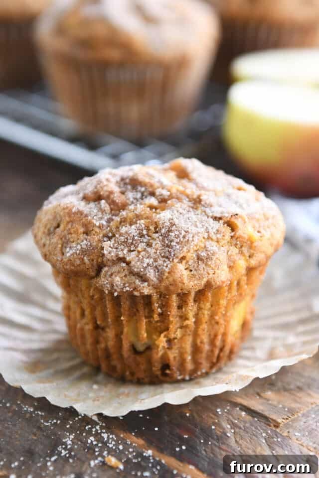 A single baked pumpkin apple spice muffin in a brown paper liner, highlighting its golden-brown top and fluffy texture.