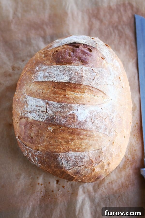 A beautifully baked loaf of rustic crusty bread resting on parchment paper, showcasing its golden-brown crust.