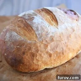 A freshly baked, golden-brown loaf of Easy Rustic Crusty Bread.