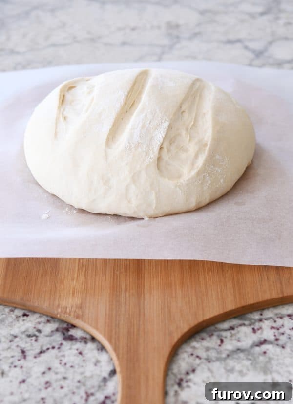 A perfectly risen loaf of rustic crusty bread sitting on parchment paper, ready for the oven, on a wooden pizza peel.