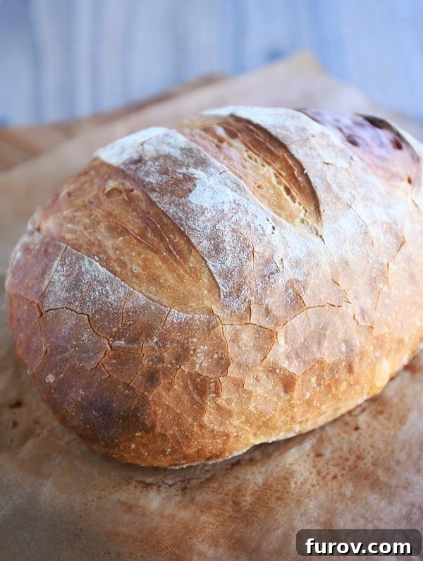 A freshly baked loaf of rustic crusty bread on parchment paper, ready to be enjoyed.