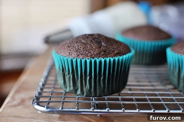 Perfectly baked homemade chocolate cupcakes in blue liners cooling on a wire rack, showcasing beautiful domed tops.