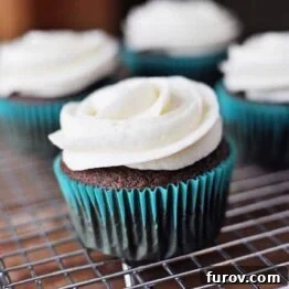 A batch of perfect chocolate cupcakes, ready to be enjoyed.