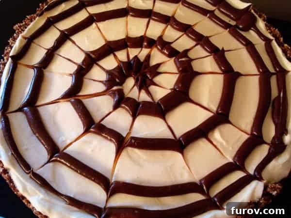 Top-down view of a rich, creamy cheesecake adorned with a delicate chocolate spiral spiderweb, ready to be served at a festive gathering.