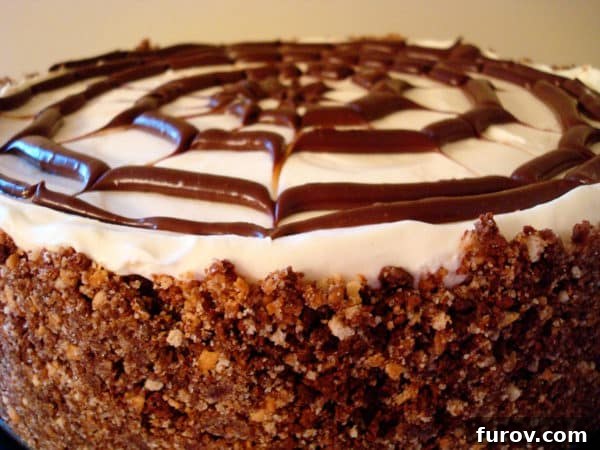 A side view of the no-bake cheesecake, highlighting its layers of chocolate crust, ganache, and creamy filling, topped with an intricate spiderweb design.