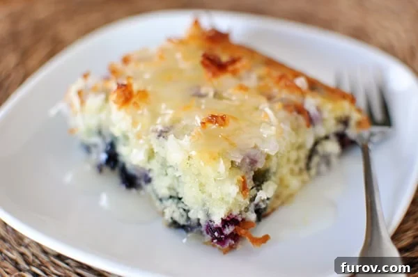 A close-up top view of a single slice of blueberry coconut cake, revealing the moist crumb, scattered blueberries, and a sprinkle of toasted coconut on a pristine white plate.