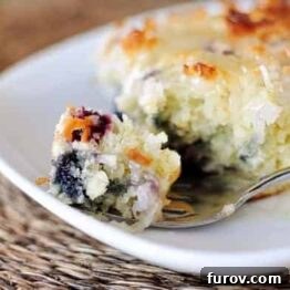 Blueberry Coconut Cake with Lemon Sauce