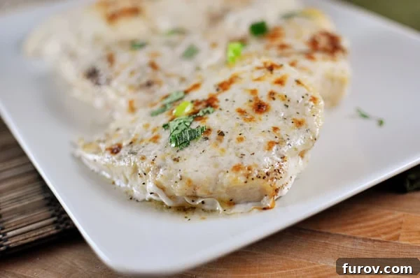 White dish with cooked chicken breasts covered with melted cheese lined up on the plate. The chicken is golden brown with melted Parmesan topping, garnished with fresh herbs.