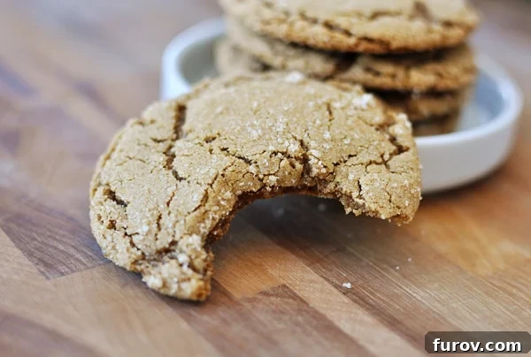 A delicious ginger crinkle cookie with a bite taken out, resting in front of a stack of freshly baked ginger cookies, showcasing their inviting crinkled tops.