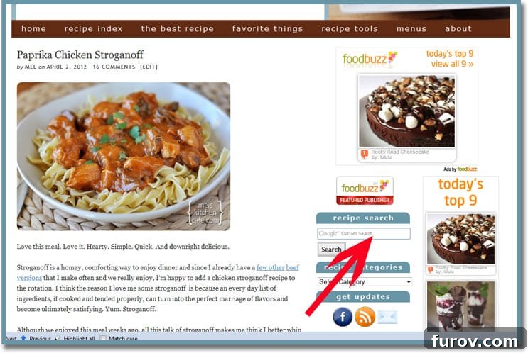 Screenshot of the website's sidebar, highlighting the search bar where users can input keywords to find recipes.