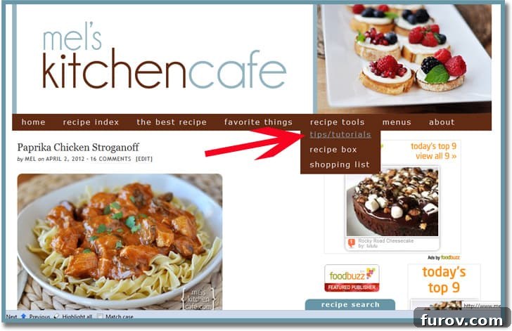 Screenshot of the Tips and Tutorials section, showcasing various articles on cooking techniques and kitchen advice.