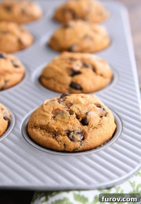 Heavenly Pumpkin Chocolate Chip Muffins 2 Golden-brown pumpkin chocolate chip muffins baking in a muffin tin, ready to be enjoyed.