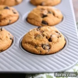 Delicious pumpkin chocolate chip muffin baking in a tin.