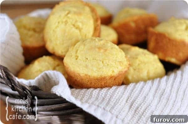 A blog banner with text 'View BLOg' and an image of cornbread muffins