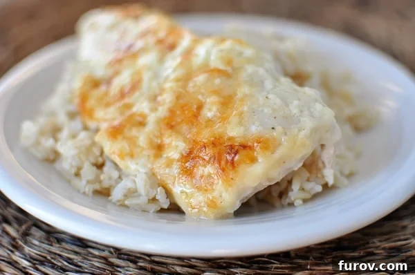 Velvety Swiss Chicken Bake 2 Cooked chicken breast with melted cheese over cooked brown rice.