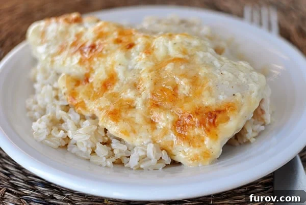 Velvety Swiss Chicken Bake 3 Cheesy baked chicken breast over cooked rice on a white plate.