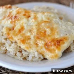 Creamy Swiss Cheese Chicken Bake with rice