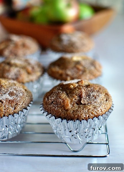 Harvest Apple Cider Muffins 2 Cinnamon coated apple muffins in tin muffin liners on a cooling rack, showcasing their golden brown tops.
