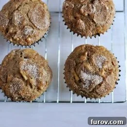 Cinnamon Apple Cider Muffins with a sprinkle of cinnamon sugar