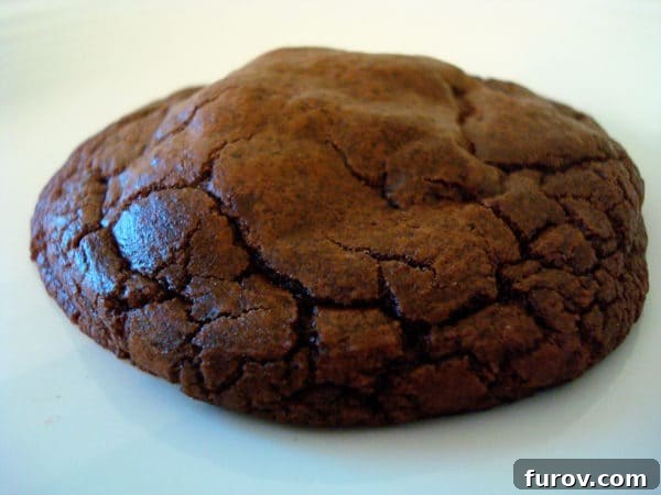 Double Chocolate Fudge Cookies 3 A single, perfectly round double chocolate cookie sitting invitingly on a white plate, showcasing its rich, dark color and slightly crackled top.