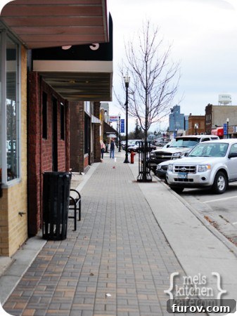 Street JPG A quiet, tree-lined street in a small town, conveying a sense of peace and community