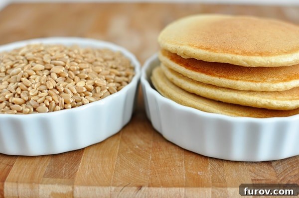 Blender Brilliance: Wholesome Whole Wheat Pancakes 4 Two white ramekins with one filled with wheat berries and the other with stacked pancakes.