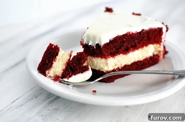 Decadent Red Velvet Cheesecake 4 A side view of a layered red velvet and cheesecake slice on a white plate, highlighting the distinct layers.