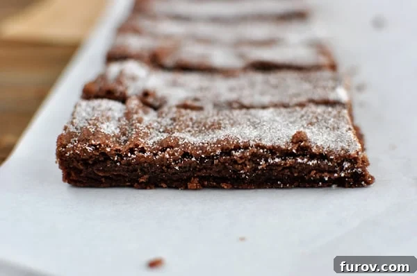 Side view of several chocolate shortbread fingers, showing their appealing thickness and the light dusting of powdered sugar.