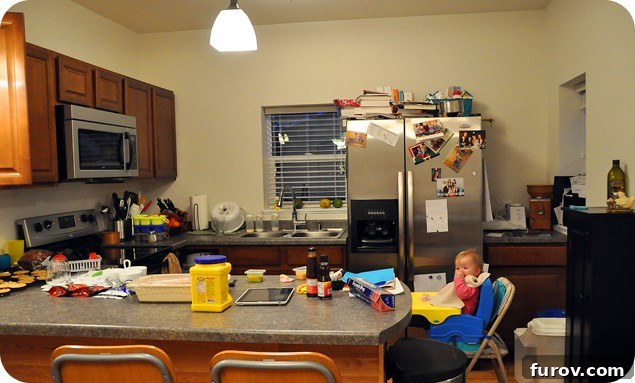Snapshot Saturday: Life Unposed 2 A close-up view of a bustling, real-life kitchen counter with various items.