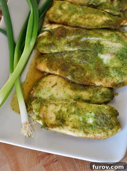 Close-up top view of baked tilapia with a ginger and cilantro sauce, garnished with fresh green onions and cilantro.