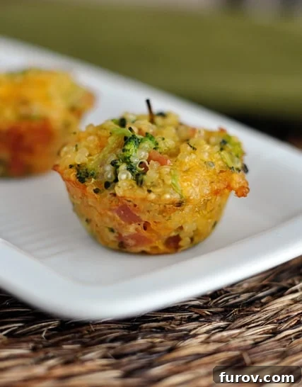 Ham, Broccoli & Cheddar Quinoa Poppers 3 A perfectly cooked cheese, ham, and broccoli quinoa bite resting on a elegant white rectangular platter, ready to be enjoyed.