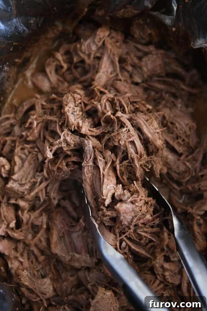 Melt-in-Your-Mouth Slow Cooker Italian Beef 6 Tongs pinching a generous serving of cooked, shredded Italian beef from a black slow cooker liner, ready to be served.