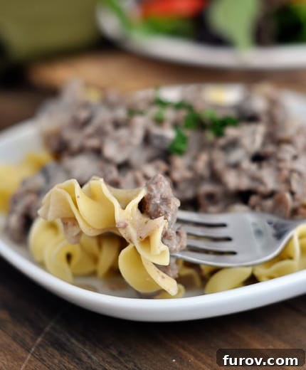 A beef stroganoff mixture over a bed of cooked egg noodles with a fork taking a bite out.