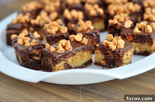 Fudgy Butterscotch Brownie Bars with Chocolate Satin Frosting 2 A white dish full of golden butterscotch bars topped with decadent chocolate frosting and glistening butterscotch chips, ready to be enjoyed.