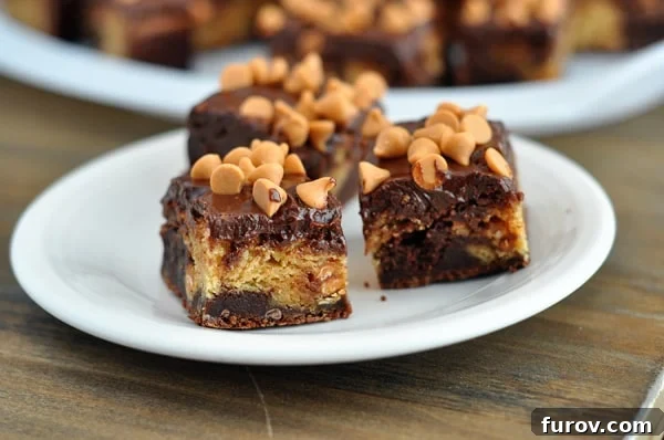 Fudgy Butterscotch Brownie Bars with Chocolate Satin Frosting 3 Three perfectly square butterscotch bars topped with smooth chocolate frosting and a sprinkle of butterscotch chips, arranged elegantly on a white plate.