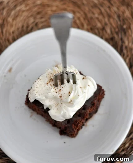 Top-down view of a delectable piece of chocolate tres leches cake, lavishly covered in whipped topping, with a fork poised to take another bite.